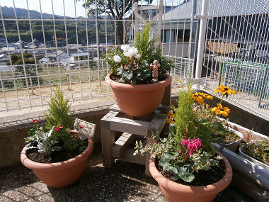 Resize3120 Resize3120