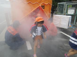 Img_2310 Img_2310