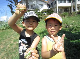 Img_1124 Img_1124