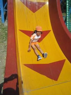 Img_1566 Img_1566