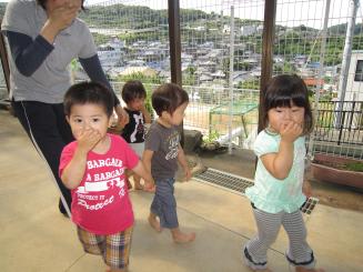 Img_0038 Img_0038