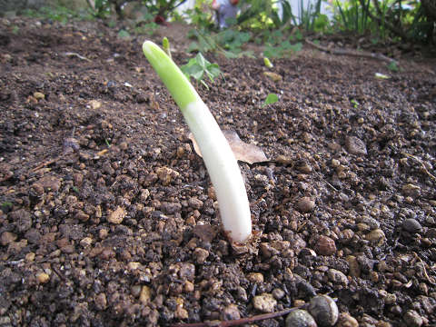 Resize4161 Resize4161