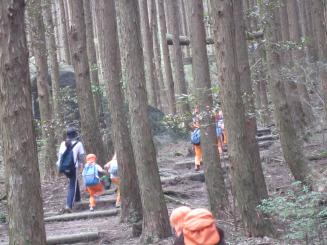 Img_2026 Img_2026