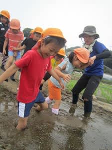 Resize7662 Resize7662