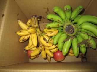 Img_1771 Img_1771