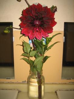 Img_0183_3