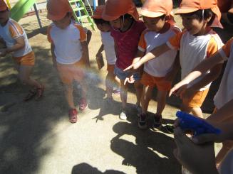 Img_0729_2 Img_0729_2
