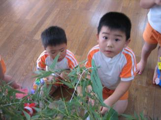Img_0129_3
