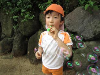 Img_01181 Img_01181