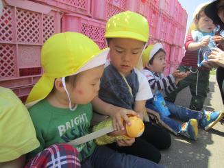 Img_3486_2 Img_3486_2