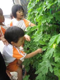 Img_1260 Img_1260