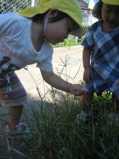 Img_0137_1