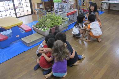 Resize2810 Resize2810