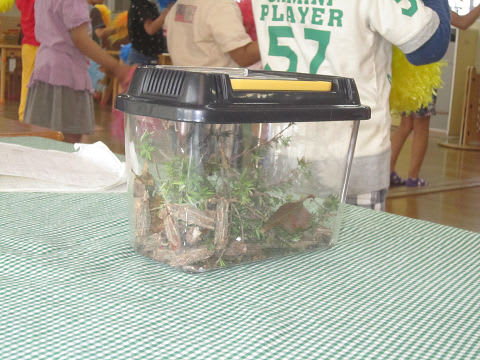 Resize0099 Resize0099