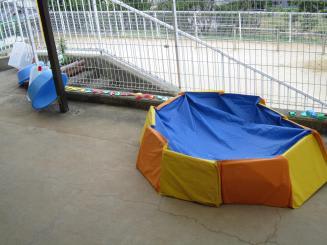 Img_0072 Img_0072
