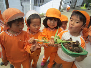 Resize6695 Resize6695