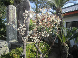 Resize5126 Resize5126