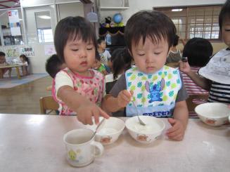Img_1335 Img_1335