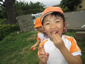 Img_0353 Img_0353