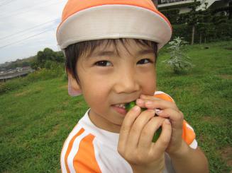 Img_0364 Img_0364
