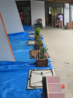 Img_0157_2