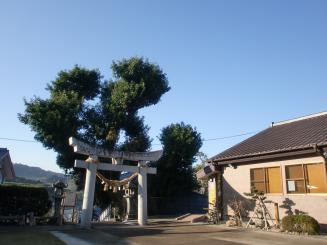 Cimg2487