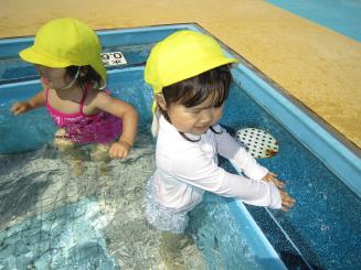 Img_0388 Img_0388