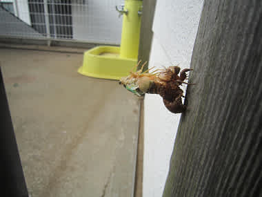 Resize1288 Resize1288