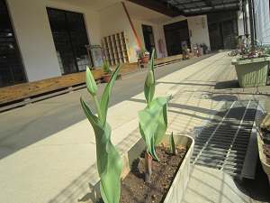 Resize5701 Resize5701