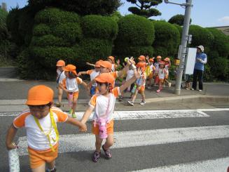 Img_0263 Img_0263