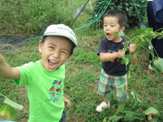 Img_1792 Img_1792