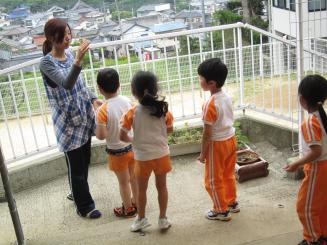 Img_2558 Img_2558