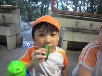 Img_0873_2 Img_0873_2