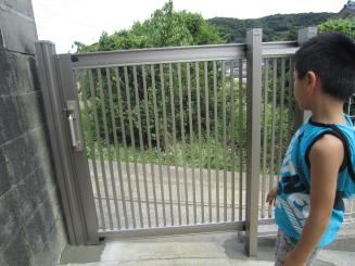 Img_0989 Img_0989