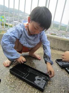 Img_0494 Img_0494