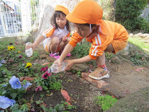 Resize0125 Resize0125