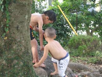 Img_0590_2