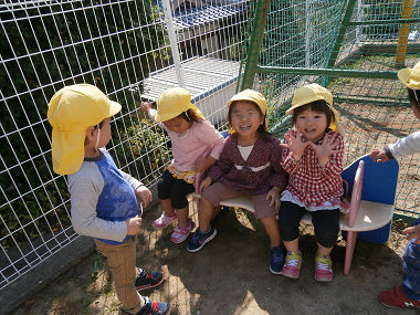 Resize3117 Resize3117