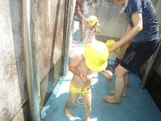 Img_0377 Img_0377