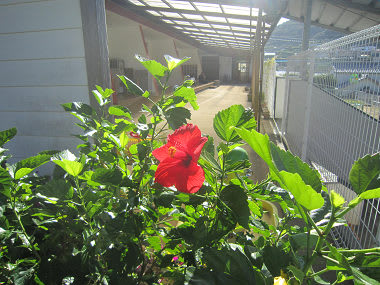 Resize2648 Resize2648