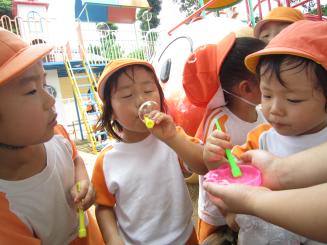 Img_01191 Img_01191