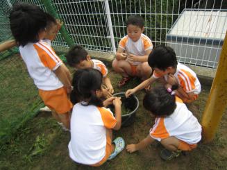 Img_1168 Img_1168
