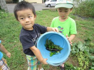 Img_1791 Img_1791
