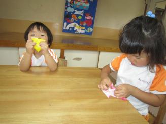 Img_0030 Img_0030