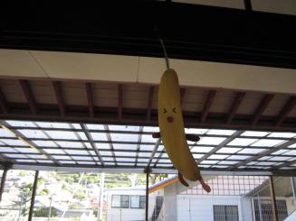 Img_1098 Img_1098