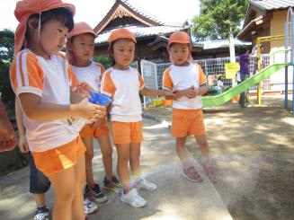 Img_0740 Img_0740