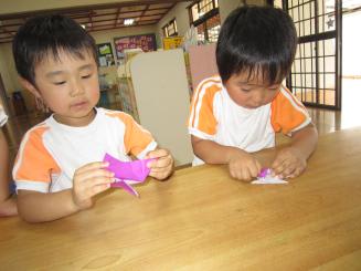 Img_0031 Img_0031