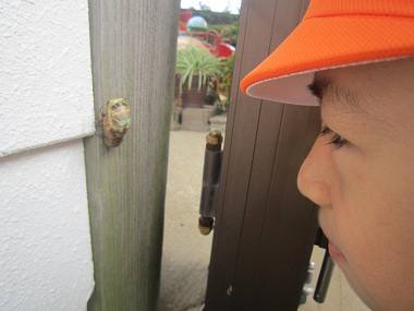 Resize1285 Resize1285