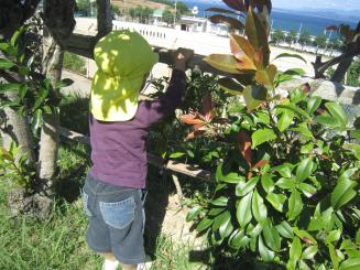 Img_1904 Img_1904