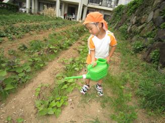 Img_0365 Img_0365